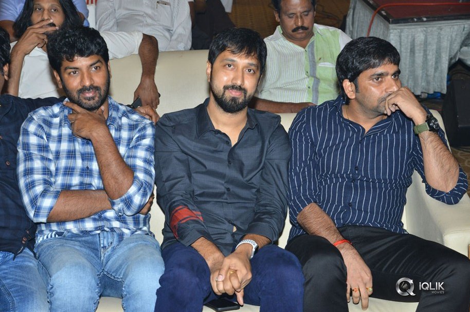 Neevevaro-Movie-Press-Meet-Photos
